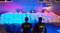 Polícia Civil e PRF apreendem 3,1 toneladas de defensivos contrabandeados do Paraguai