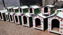Reeducandos fabricam casas de pets de madeira para doar às instituições e famílias carentes