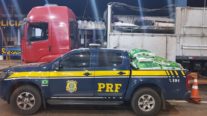 Motorista é preso transportando 700 kg de agrotóxico ilegal em MT