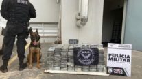 Policiais militares e federais apreendem 213 quilos de cocaína em Cuiabá
