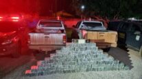 Polícia apreende 500 kg de drogas em fazenda no interior de MT