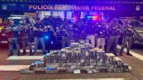 Forças policiais apreendem 350 quilos de cocaína em compartimento falso de caminhão frigorífico