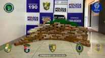 Ação conjunta apreende 107 porções de entorpecentes em região de fronteira de MT
