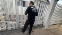 Polícia Civil deflagra 7ª fase da Operação Sansão para apurar denúncias de maus-tratos a animais