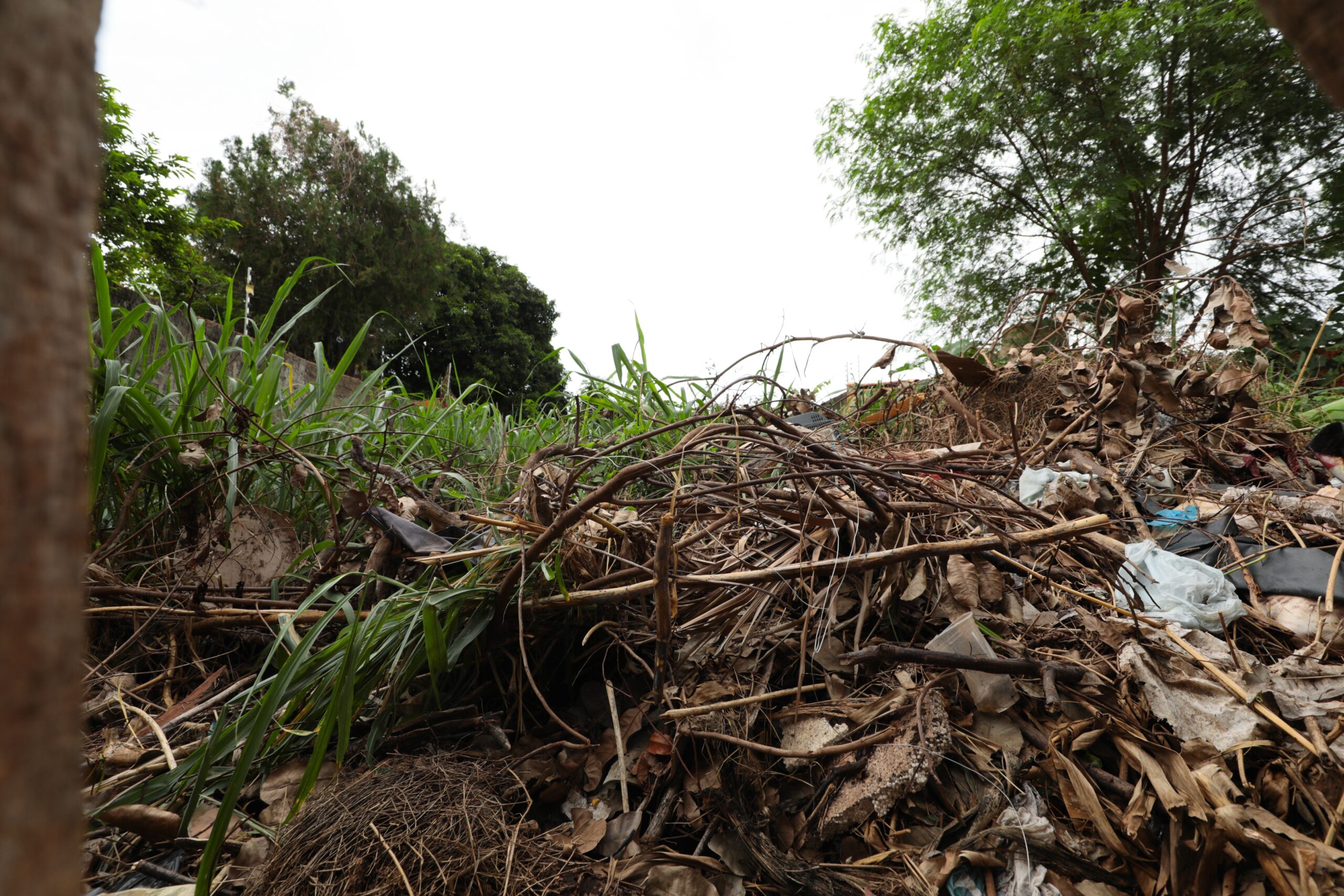 Mais de 300 terrenos baldios já passaram pela operação “Fiscaliza e Cuida”