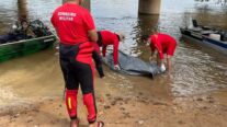 Bombeiros localizam corpo de vítima de afogamento no Rio Aripuanã