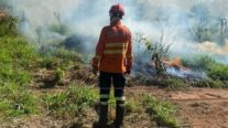 Corpo de Bombeiros realiza queima prescrita para prevenir incêndios no Parque Serra de Ricardo Franco