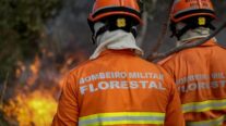 Corpo de Bombeiros realiza Congresso Internacional de Gestão de Incêndios Florestais a partir de segunda-feira (16)