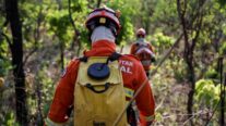 Corpo de Bombeiros extingue incêndio no Parque Estadual Serra Ricardo Franco