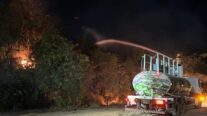 Bombeiros extinguem incêndio e impedem que chamas destruam Parque Florestal