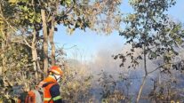 Corpo de Bombeiros extingue incêndio às margens da BR-364