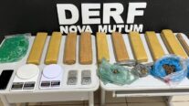 Polícia Civil apreende 9 tabletes de maconha que seriam distribuídos em pontos de Nova Mutum
