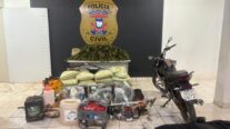 Polícia Civil localiza e incinera plantação de maconha em operação em Tangará da Serra