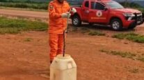 Bombeiros resgatam cobra caninana em empresa de produção agrícola