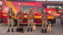 MT sedia evento de cães de busca e resgate; relembre animais que atuaram em salvamentos