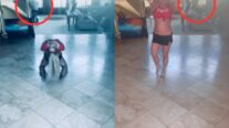 Britney Spears acusa funcionário de espioná-la: “Não fazia ideia”
