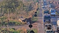 Caminhoneiro morre após carreta carregada com algodão tombar na BR-364 em Jangada (MT)