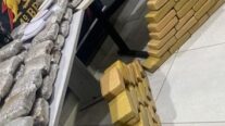 Homem é preso em MT com mais de 170 tabletes de skunk, conhecido como 'supermaconha'