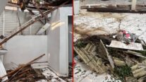 Árvore cai em unidade de saúde durante chuva e deixa enfermeira ferida em Cuiabá