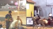 Henrique, dupla de Juliano, cai de cavalo durante competição de vaquejada em Pernambuco